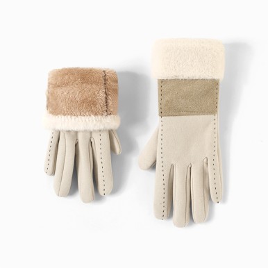 Windproof Ski Gloves